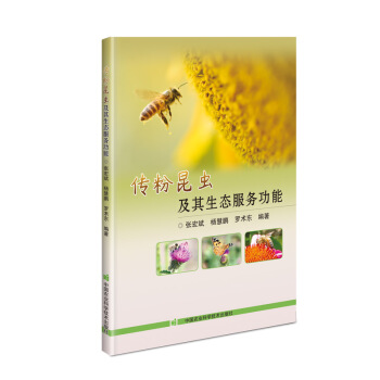 �������x�������B(t��i)����(w��)����