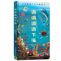 ���������º�