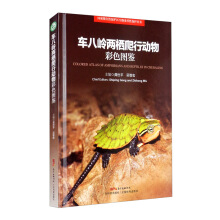 ܇�ˎX�ɗ����Є����ɫ�D�b