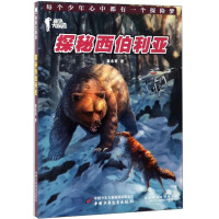 ̽����������