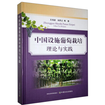 �Ї��O(sh��)ʩ����������Փ�c��(sh��)�`