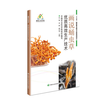 ���fӼ�x�݃�(y��u)�|(zh��)��Ч���a(ch��n)���g(sh��)