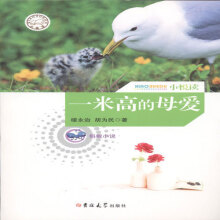 һ�׸ߵ�ĸ��