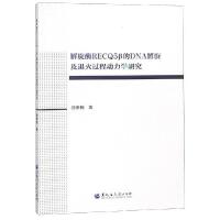 ����øRECQ5�µ�DNA�������˻��^�̄����W(xu��)�о�