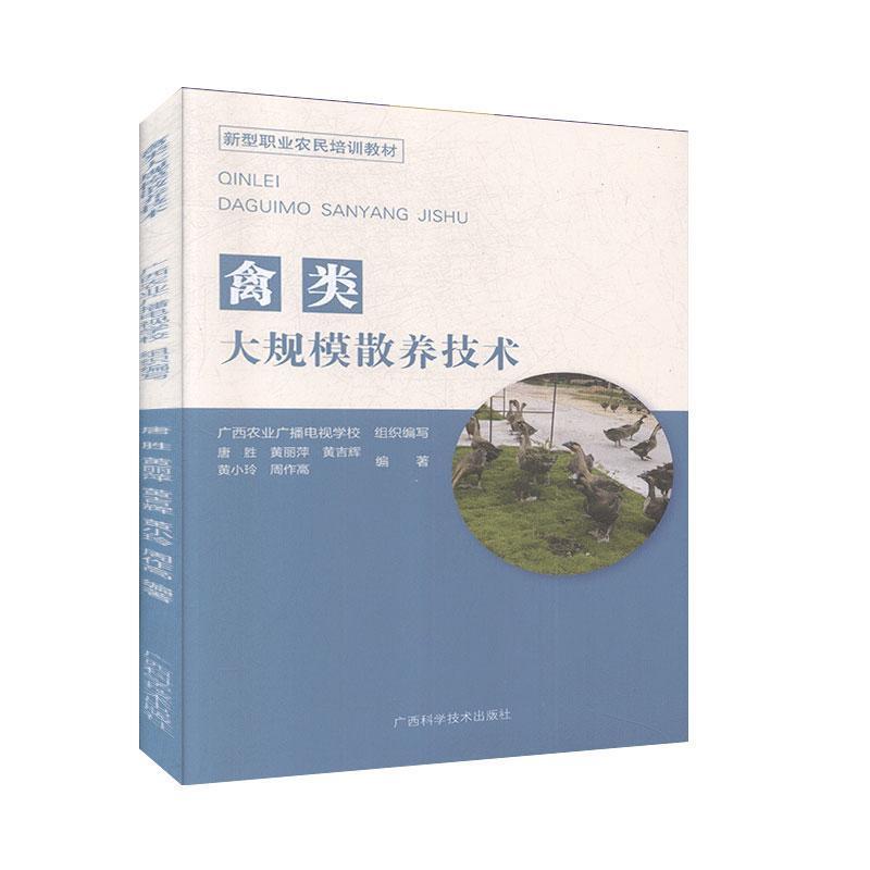 ���Ҏ(gu��)ģɢ�B(y��ng)���g(sh��)