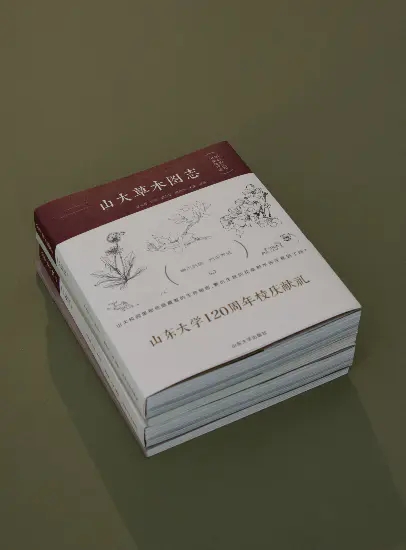 ɽ���ľ�D־������У�^(q��)�ͺ�Ҙ�У�^(q��)��