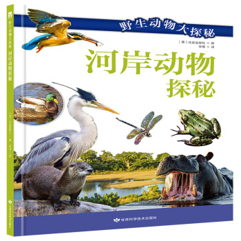 �Ӱ�����̽��