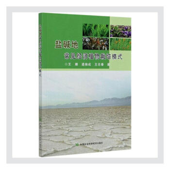 �}�A�س�Ҋ��(j��ng)��(j��)ֲ������ģʽ