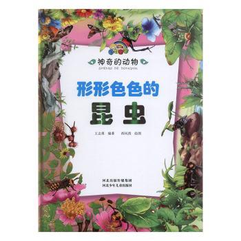 ����ɫɫ�����x