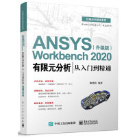 ANSYS Workbench 2020����Ԫ���������T����ͨ:������