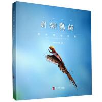 �����q��