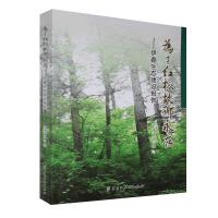 ���˼t�ɹ��l(xi��ng)����