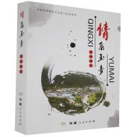 ��ϵ����