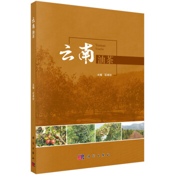 �����Ͳ�