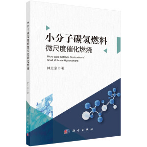 С����̼��ȼ��΢�߶ȴ߻�ȼ��