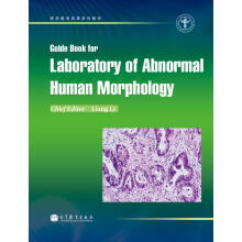 �������w�ΑB(t��i)�W(xu��)��(sh��)�(y��n)