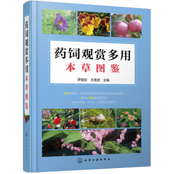 ˎ��^�p���ñ��݈D�b�����b��ȫ�ʈD����Ԕ��639�N��(d��ng)ֲ�������н�700������ʈD��