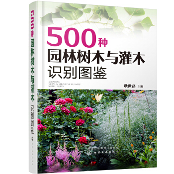 500�N�@�֘�ľ�c��ľ�R�e�D�b