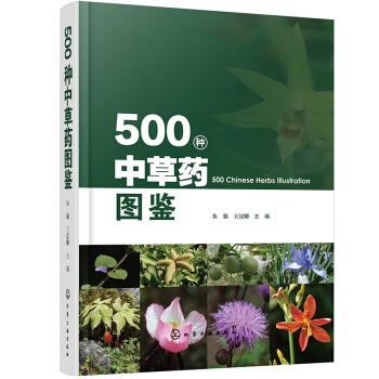 500�N�в�ˎ�D�b�����ݾVĿ�S�ۃ�(n��i)��(j��ng)�в�ˎֲ���Ƭ��ˎ��λ���������÷��������ٱ��R(sh��)��