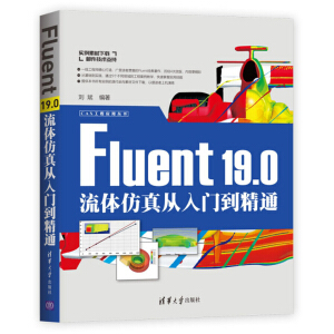 Fluent 19.0���w��������T����ͨ