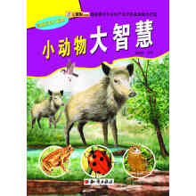 ��Ȥ�ٿƴ������С������ǻۣ���ɫ��