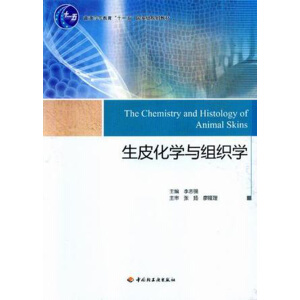 ��Ƥ���W�c�M���W����ͨ�ߵȽ�����ʮһ�塱���Ҽ�Ҏ(gu��)���̲ģ�