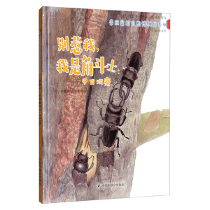 �e���������ǽǶ�ʿ�����x�^��/�Ї�ԭ��(chu��ng)�D����