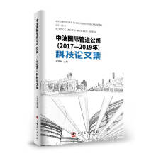 ���͇��H�ܵ���˾2017-2019��Ƽ�Փ�ļ�