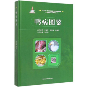 �����D�b