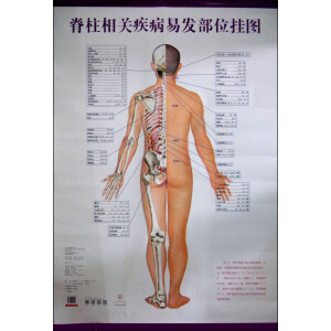 �������P�����װl(f��)��λ��D