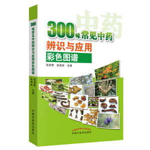 300ζ��Ҋ(ji��n)��ˎ���R(sh��)�c��(y��ng)�ò�ɫ�D�V