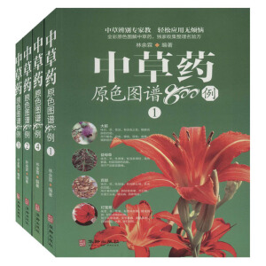 �в�ˎԭɫ�D�V800�������b��4��(c��)��