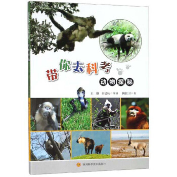 ����ȥ�ƿ�����(d��ng)��̽��