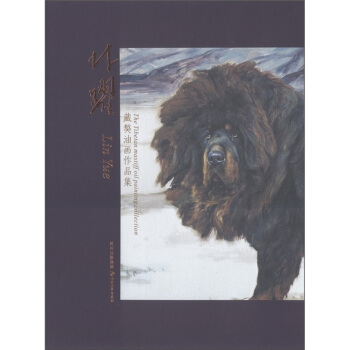 ���S�����ͮ���Ʒ������DVD��P1����