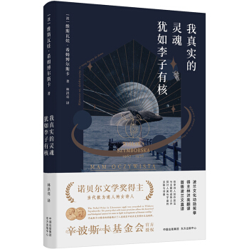 ���挍���`��q�������к�