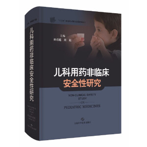 ������ˎ���R����ȫ���о�