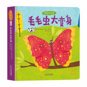 �����������ëë�x��׃���������棩