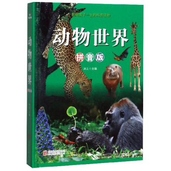 �������磨ƴ���棩