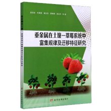 �ؽ���������-��ݮϵ�y(t��ng)�и���Ҏ(gu��)�ɼ��w�������о�