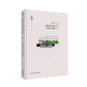 ��(ji��)֫��Ƥ������������(��)/����ʡ�������c��ϡ������Ⱥ��