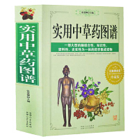 �����в�ˎ�D�V