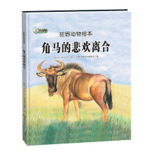 ���R�ı��g�x��