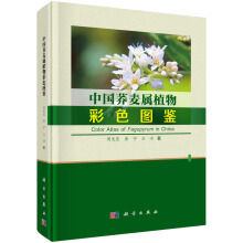 �Ї��w����ֲ���ɫ�D�b