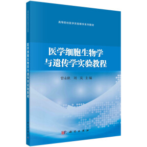 �t(y��)�W��������W�c�z���W���̳�