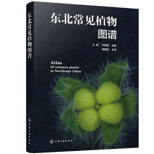 �|����Ҋֲ��D�V