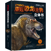 PNSO�ؽ������������w��