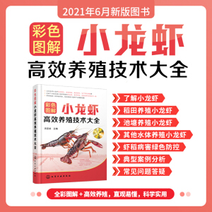 ��ɫ�D��С���r��Ч�B(y��ng)ֳ���g(sh��)��ȫ