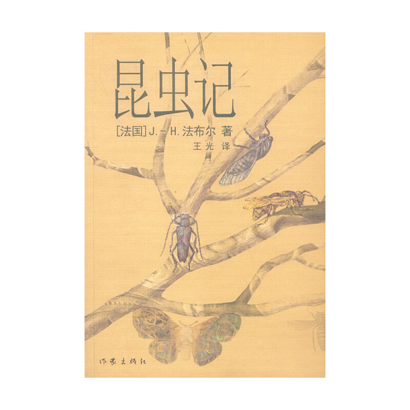 ���xӛ����D��ر�