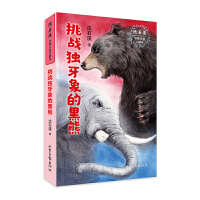 ����(zh��n)��(d��)����ĺ���