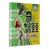 ��ͯSTEM����ϵ�Ѕ���������Ķ���